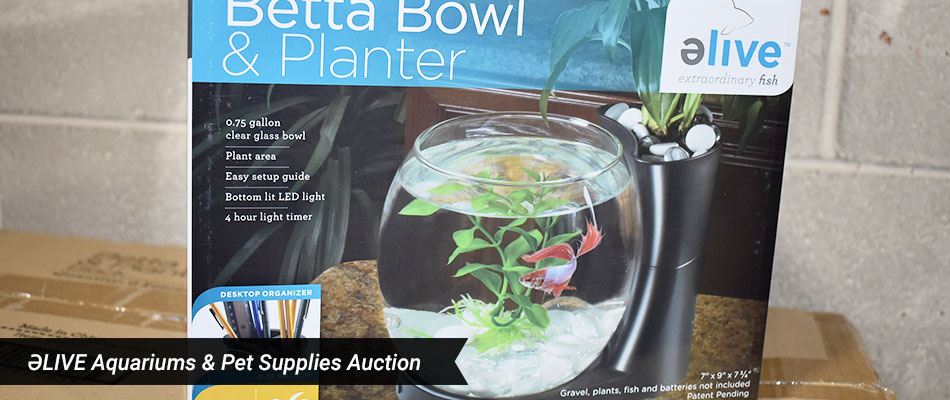 Elive Aquarium Auction